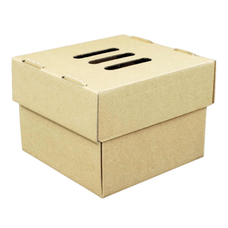 Burger box, tacka 15 x 15 x 10 cm - 100 szt.