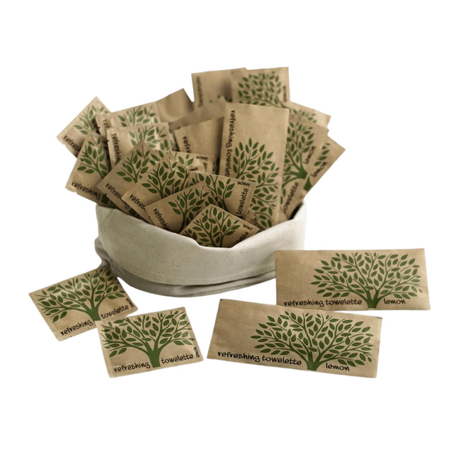 Chusteczki odświeżające NATURE 6 cm x 8 cm - 500 sztuk