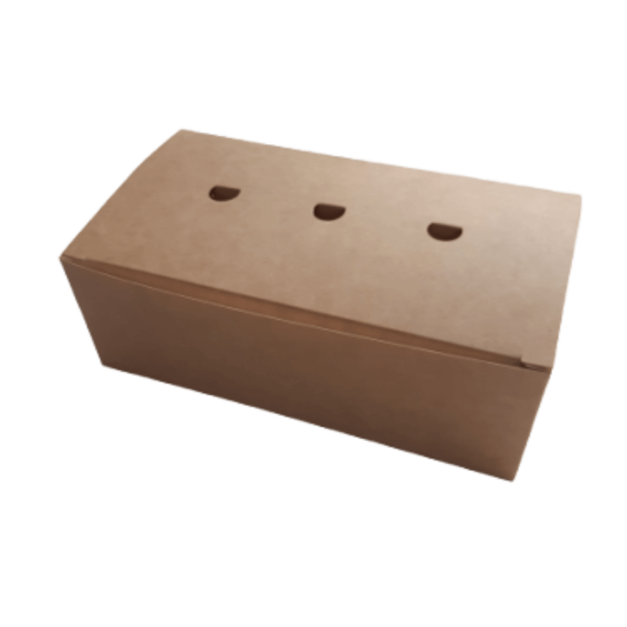 Kartonik duży z otworami 22 x 12 x 7,5 cm - 100 sztuk