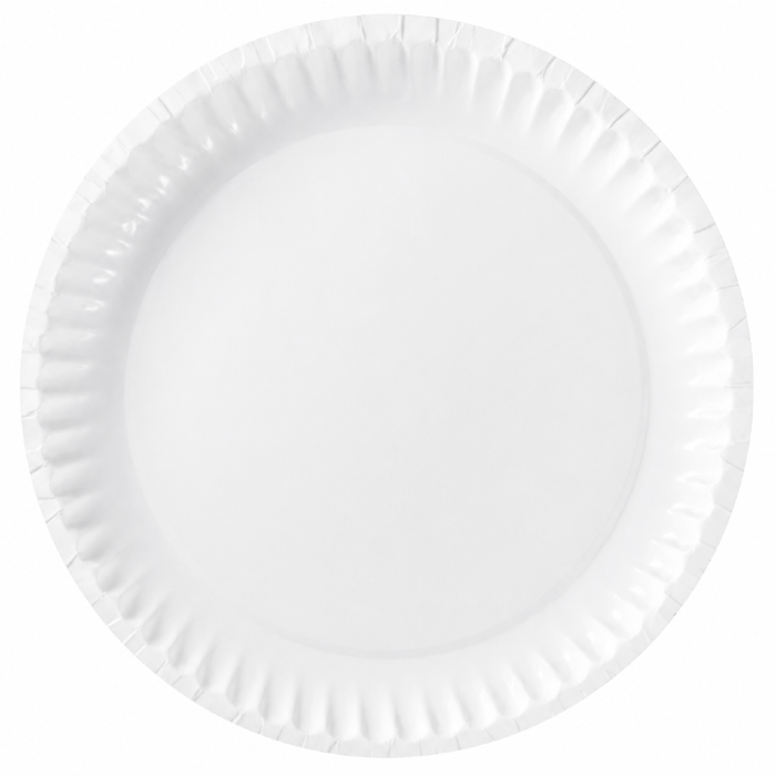 Talerz papierowy biały okrągły, średnica 23 cm, wzór POL - 100 szt.