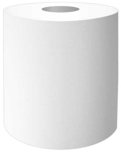 Ręcznik papierowy dwuwarstwowy 65 m