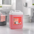 SANIT SHINE - 5 L